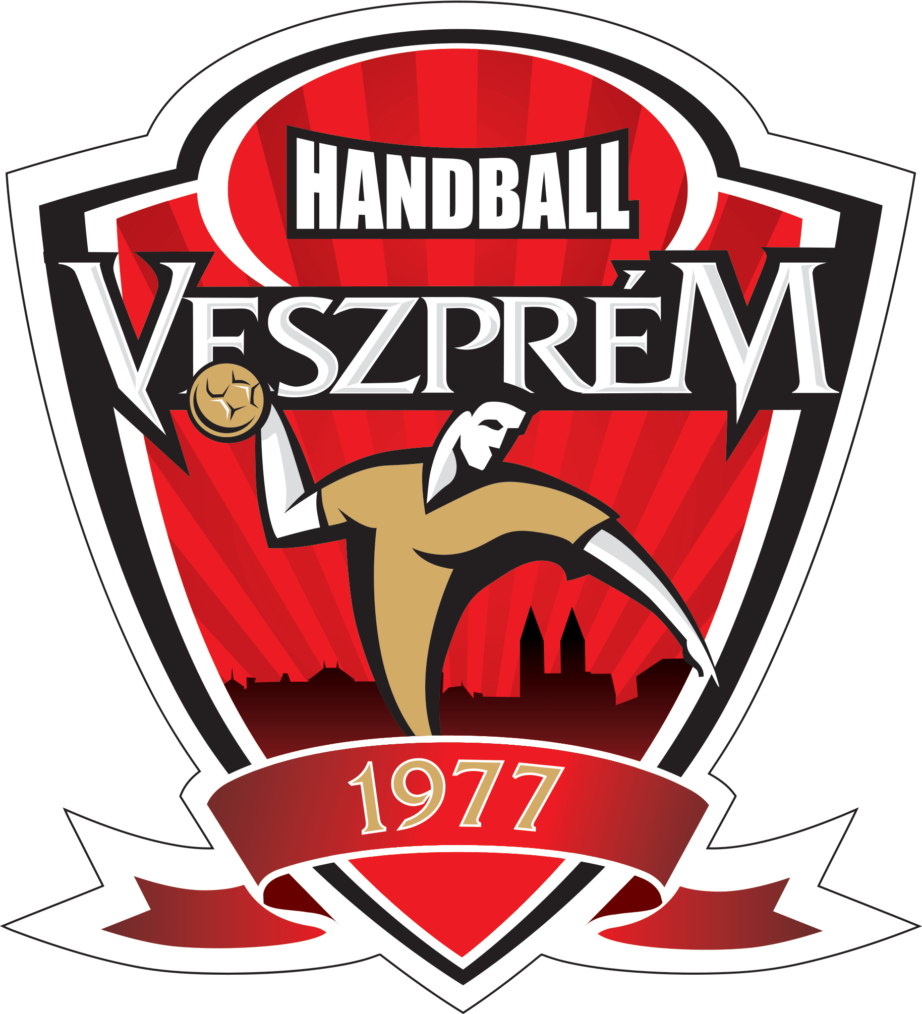 Veszprem Handball Academy
